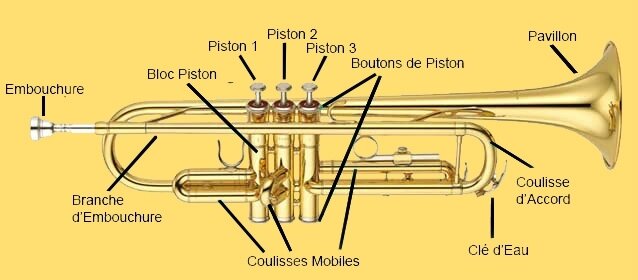 Trompette Ses differentes parties