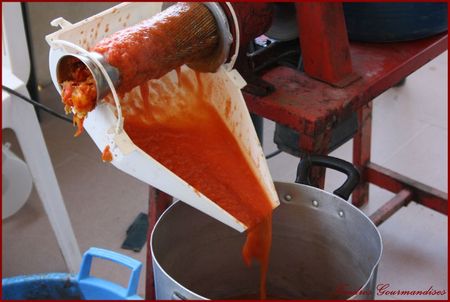 Sauce tomate cerise maison recettes Sauce tomate cerise maison