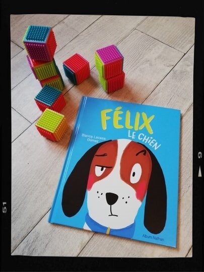52035850_2296325467270324_5025607345481187328_n
