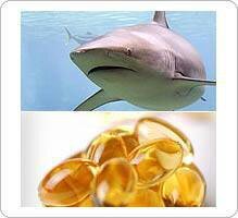 requin_foie_huile_ps-1