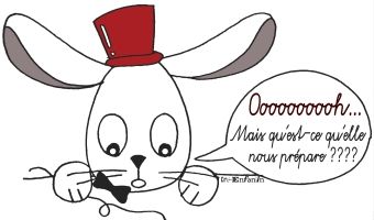 lapin200