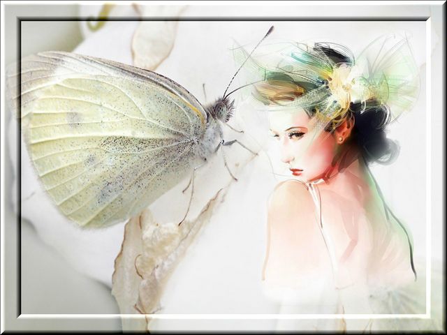 White_butterfly-image