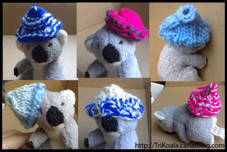 koala_bonnet