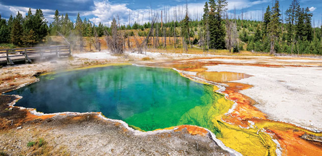 yellowstone