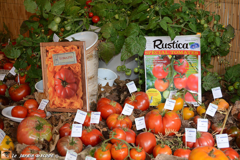PAT_8714-Tomatophiles