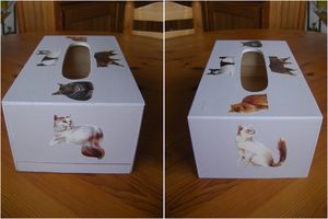 Copie_de_IMGP5402