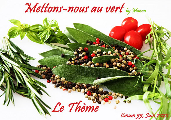 mettonsnous_au_vert_theme