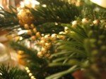 sapin_007
