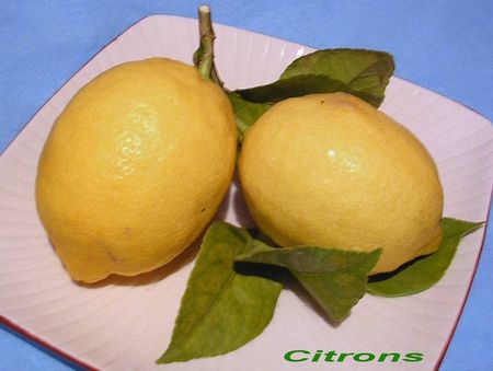 Citrons_DC_t