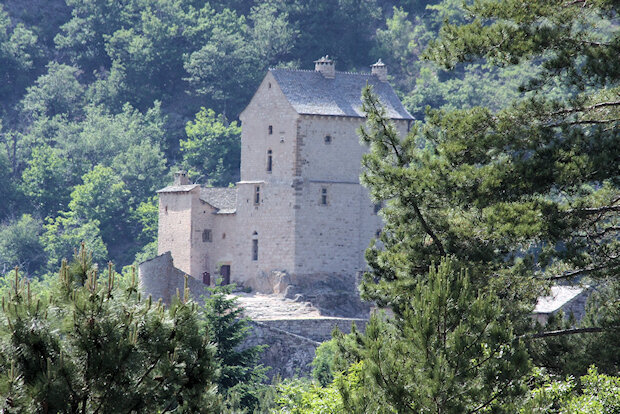 20090604_0060-Château de Miral