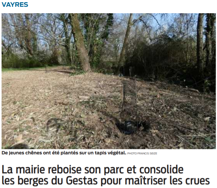 2021 02 27 SO La mairie reboise et consolide ses berges
