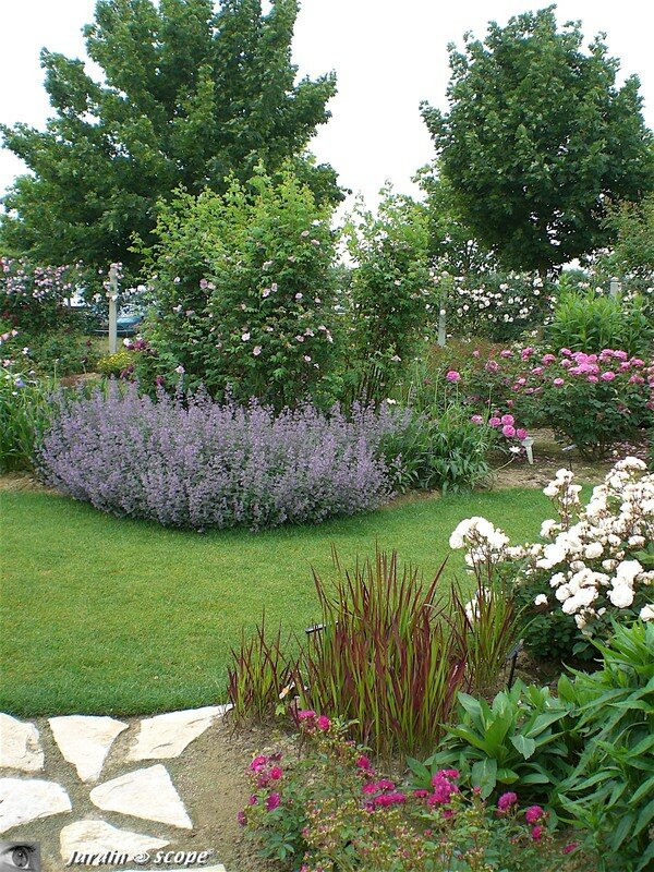 Visite du nouveau jardin…