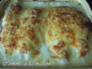 091124___Endives_au_jambon__11_