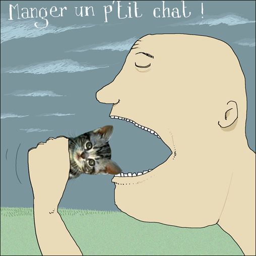 p'tit-chat