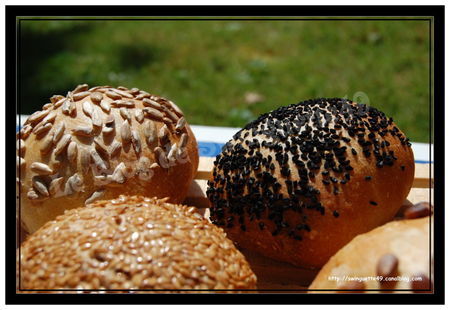 recettes legumes Petits pains aux graines au levain + levure