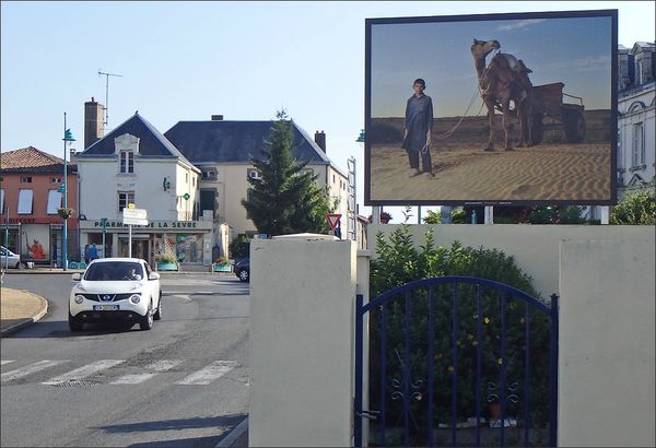 Montcoutant portrait chameau voiture 270713