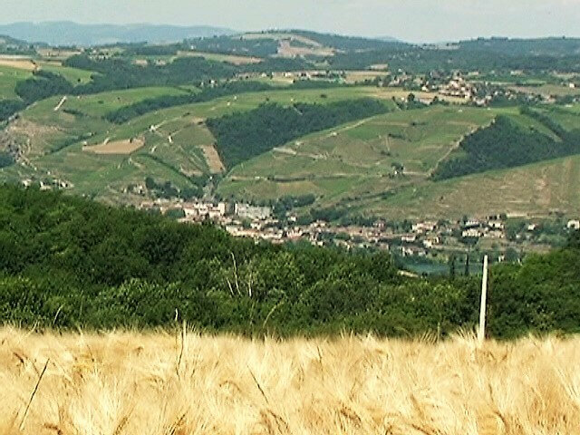 vallée du Rhône Condrieu