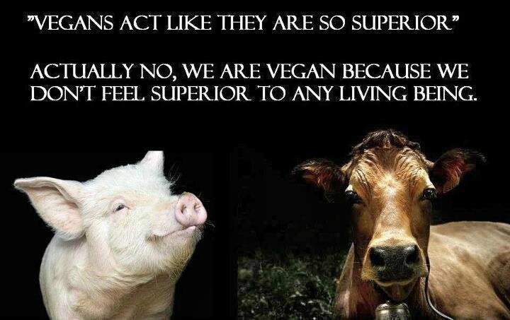 vegans-not-superior