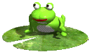 Frog03
