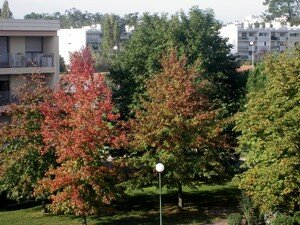 oct_2006___012