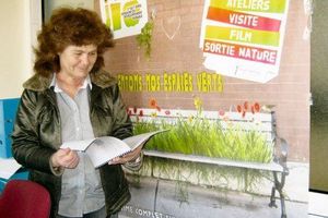 Gujan Mestras A bas les frelons