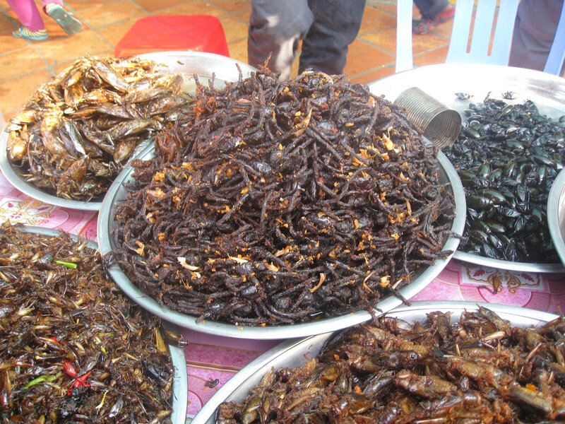 insectes grillés, Cambodge