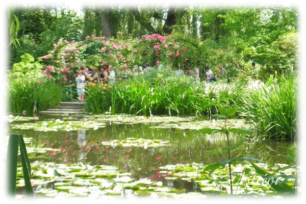 Giverny24