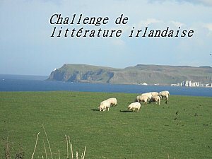 irlande_en_challenge