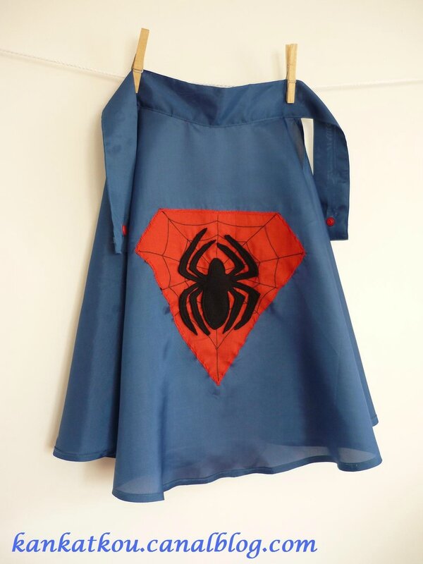 P1180249 cape spiderman