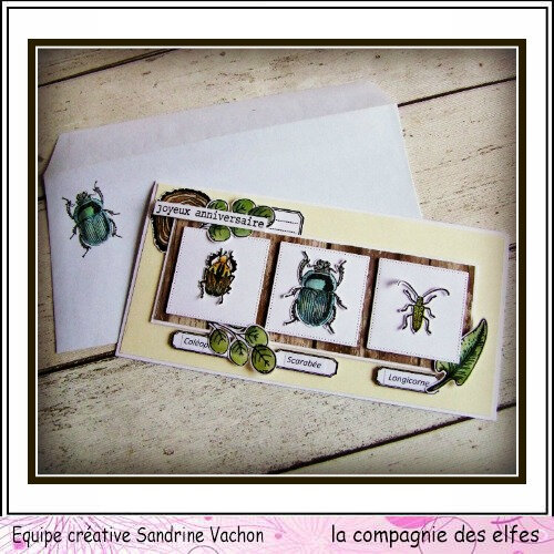 carte et env INSECTES DT LCDE Sandrine VACHON (1)