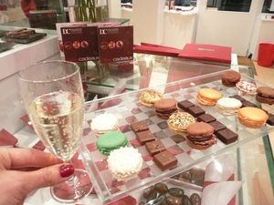 soir_eD_clinaisonChocolat_Paris_Dec09__007