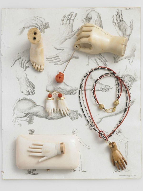 anatomies