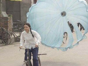 xin_49030231092297632251_1_