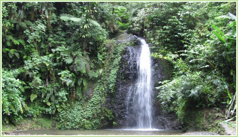 Saut Gendarme, en Martinique (c) C. MENOT