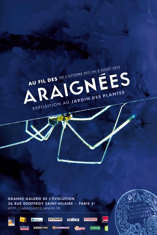 Affiche au fil des araignées MNHN