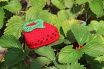 Fraises-01