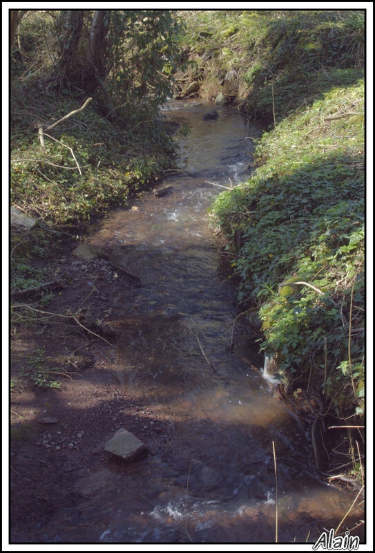 le petit ruisseau... qui ruisselle...