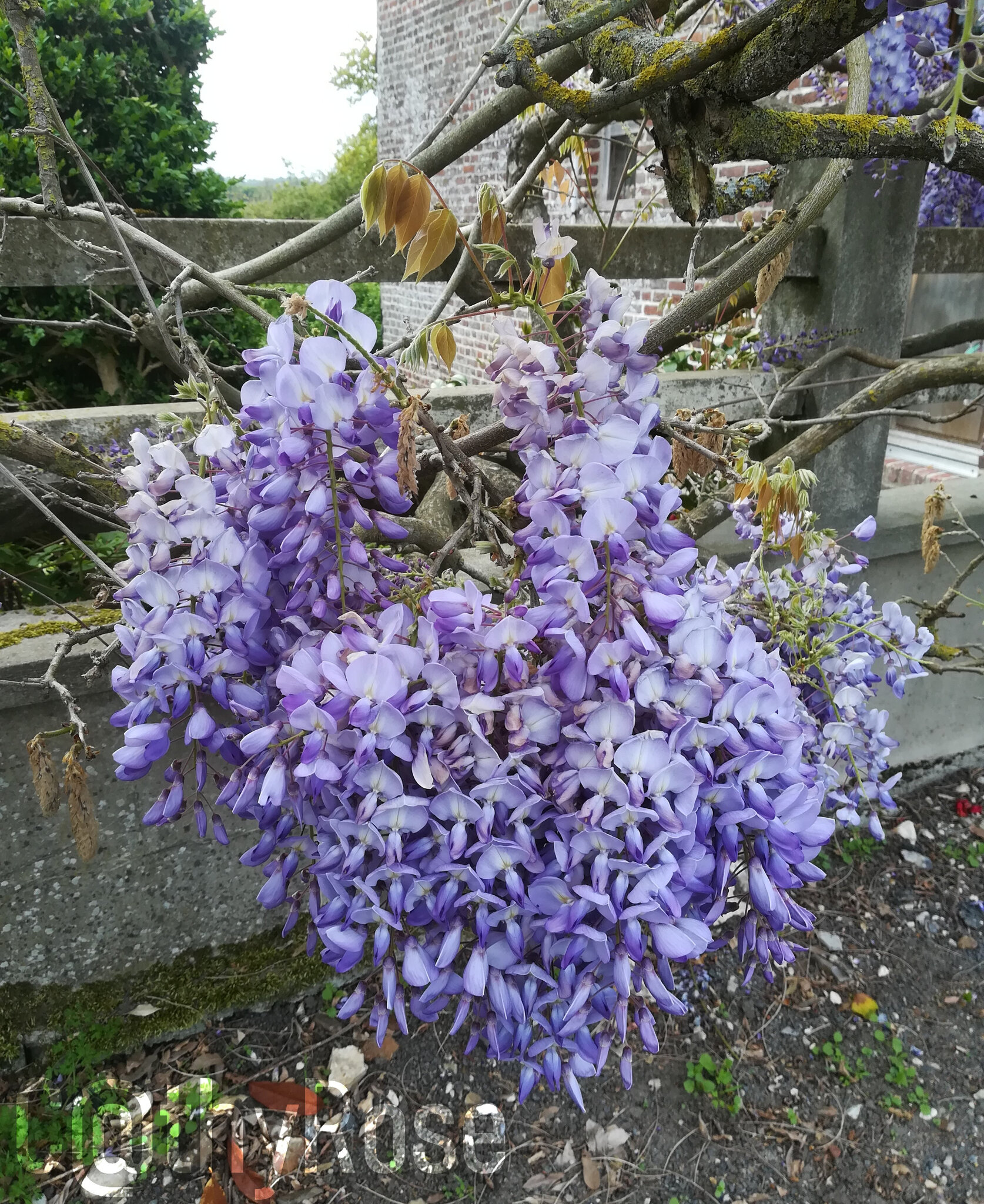164-11 mai 2019