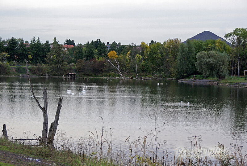 20191028_paysage_automne_11