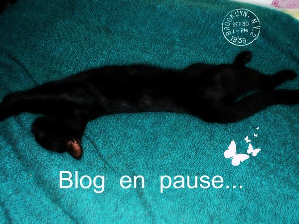 blog pause