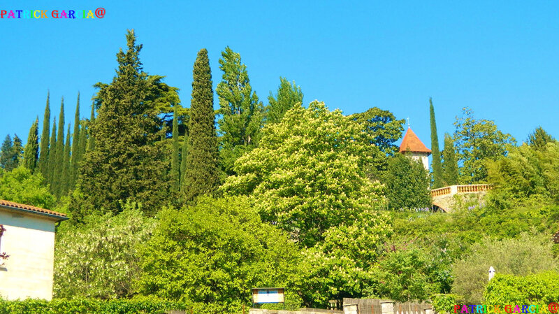 ANDUZE PAYSAGE 198 copie