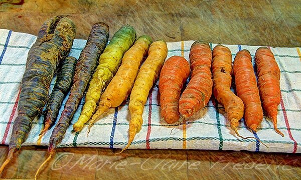 carottes