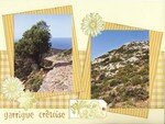 Iles_grecques__46__garrigue_cr_toise