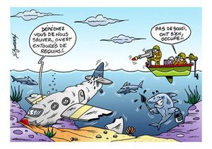 avion requin