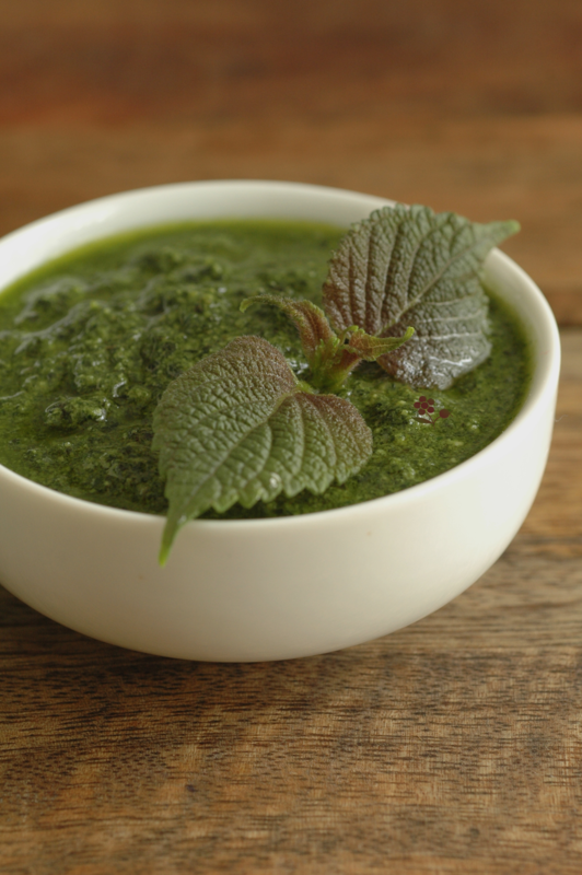 Pesto de shiso