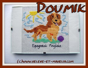 6 doumik_salaug21