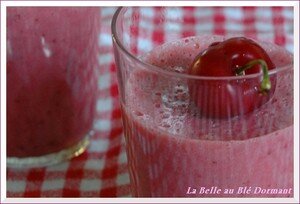 MOUSSE_ROSE_AUX_FRUITS_ROUGES_1_bis