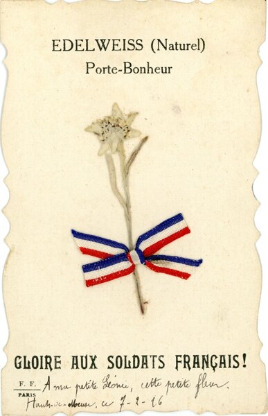 edelweiss_porte-bonheur_gloire_aux_soldats_francais_bis