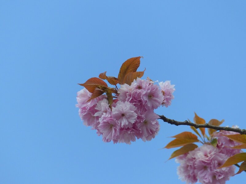 P1420719