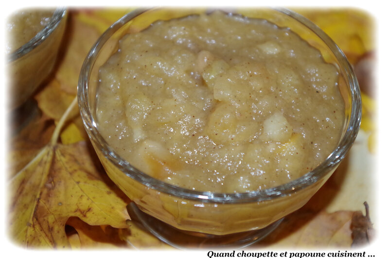 compote de pommes aux épices-7090